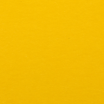 New Paper on the Goals and Visions of HCA│Organoid Now Published in Nature Biotechnology